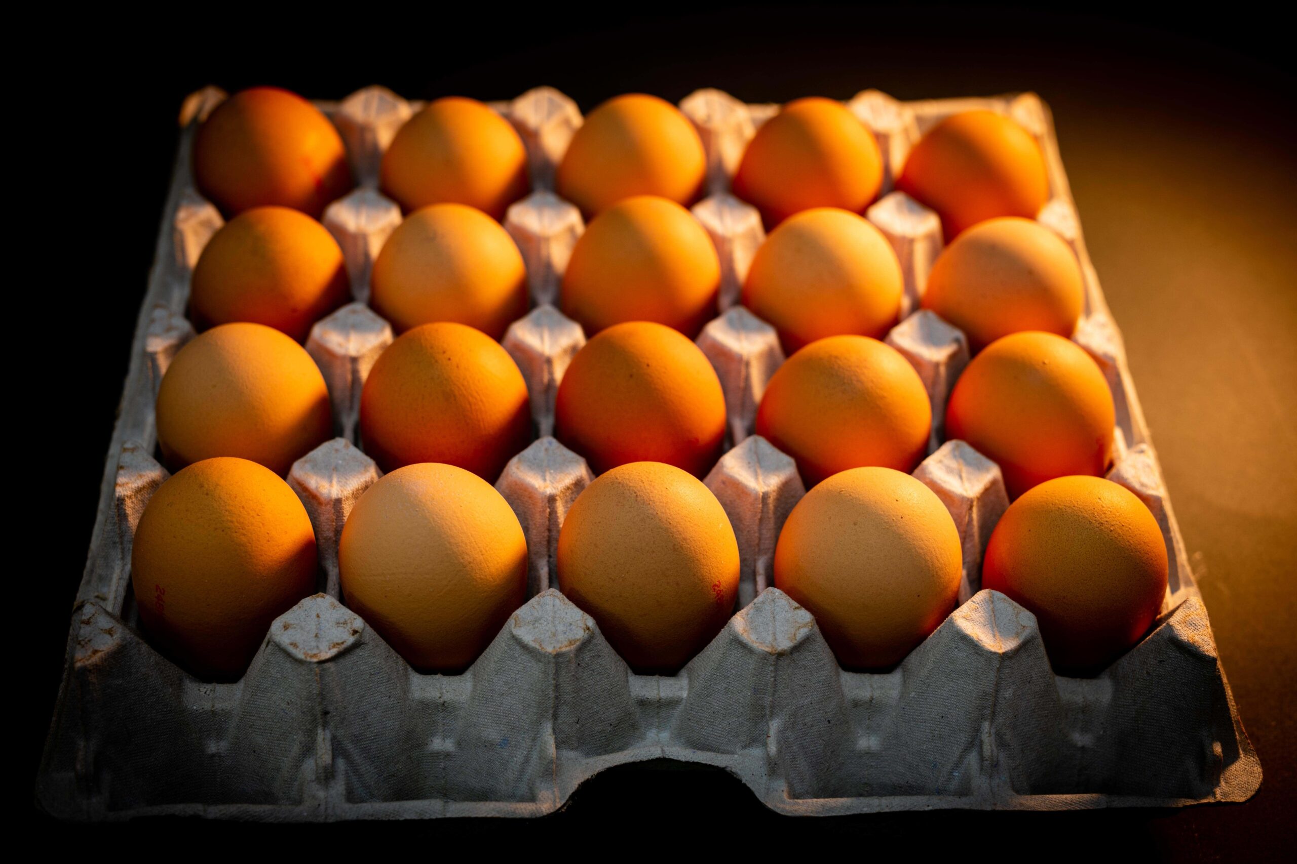 Large 20 pack eggs Free range