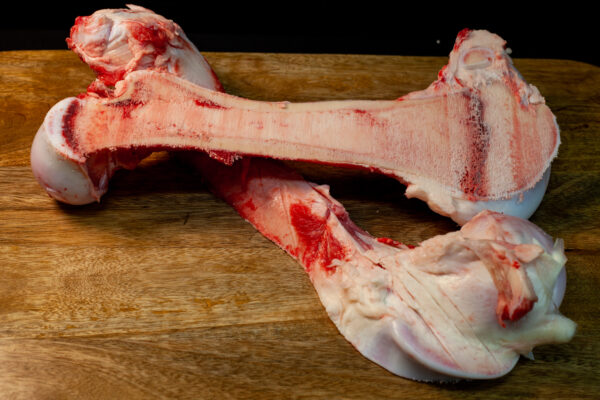Half Leg bone